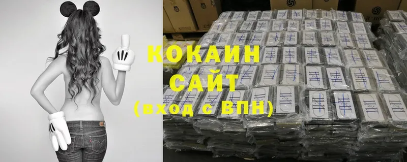 Cocaine Эквадор  мега как войти  Камышлов 